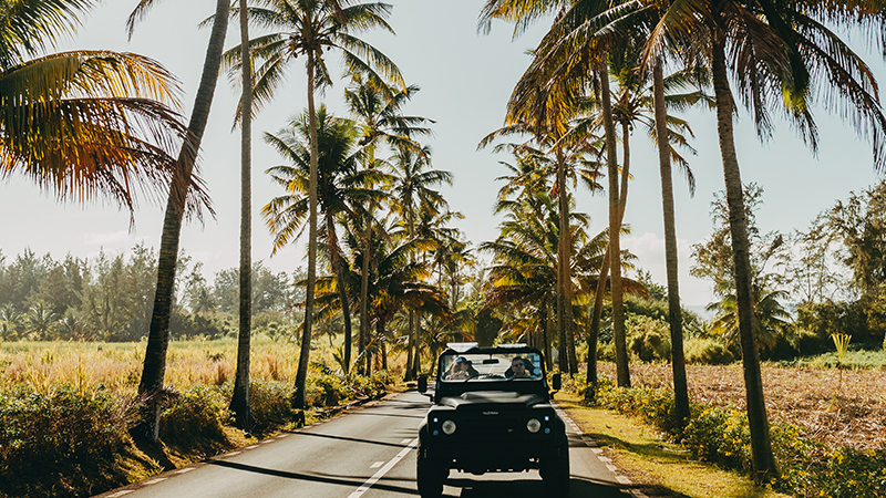 Allée bordée d’arbres au sein du domaine Heritage Villas Valriche, île Maurice